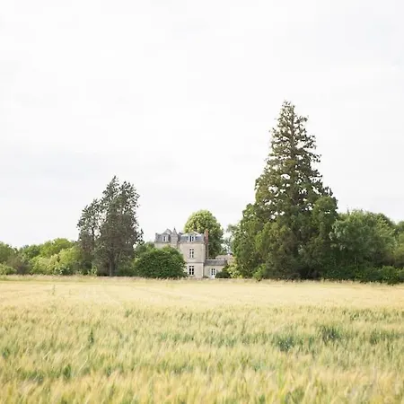 Chateau De La Vigne * Concourson-sur-Layon