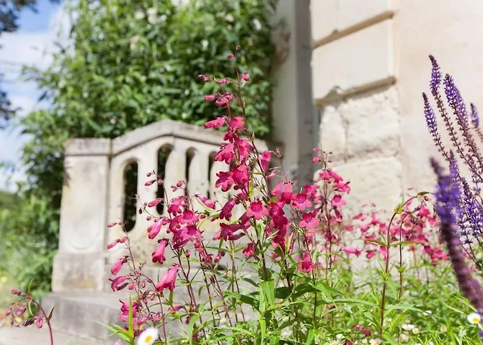 Chateau De La Vigne *