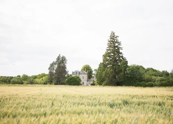 Chateau De La Vigne * Concourson-sur-Layon